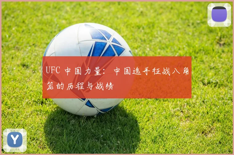 UFC 中国力量:中国选手征战八角笼的历程与战绩