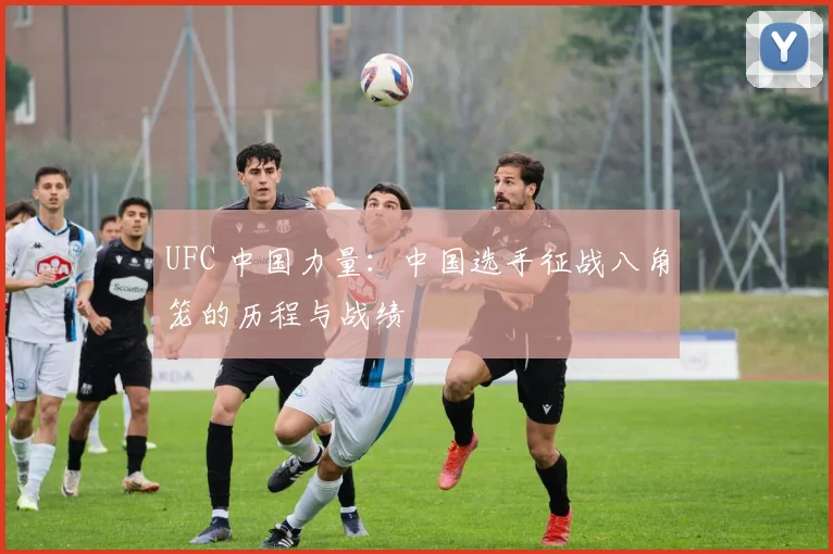 UFC 中国力量：中国选手征战八角笼的历程与战绩