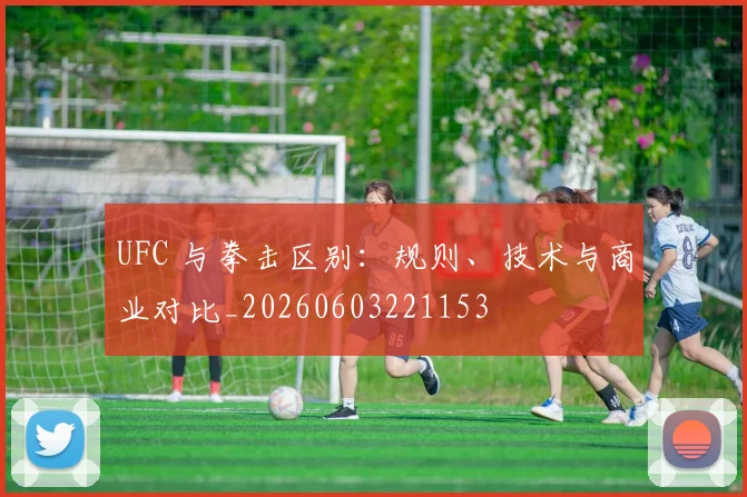 UFC 与拳击区别:规则、技术与商业对比_20260603221153